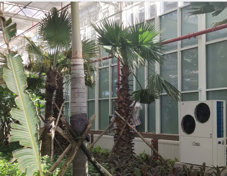 齐昊科技石家庄龙泉湖湿地供暖项目赏析